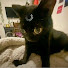 RMoWfGVWaIw-channel-avatar-Deibito Edits