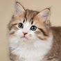 Miniature