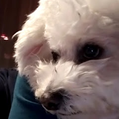 LEXY_LOVE