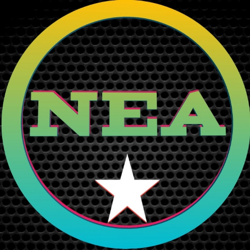 Nepal Engineering Academy