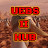 UEBS II Hub