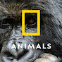 Nat Geo Animals