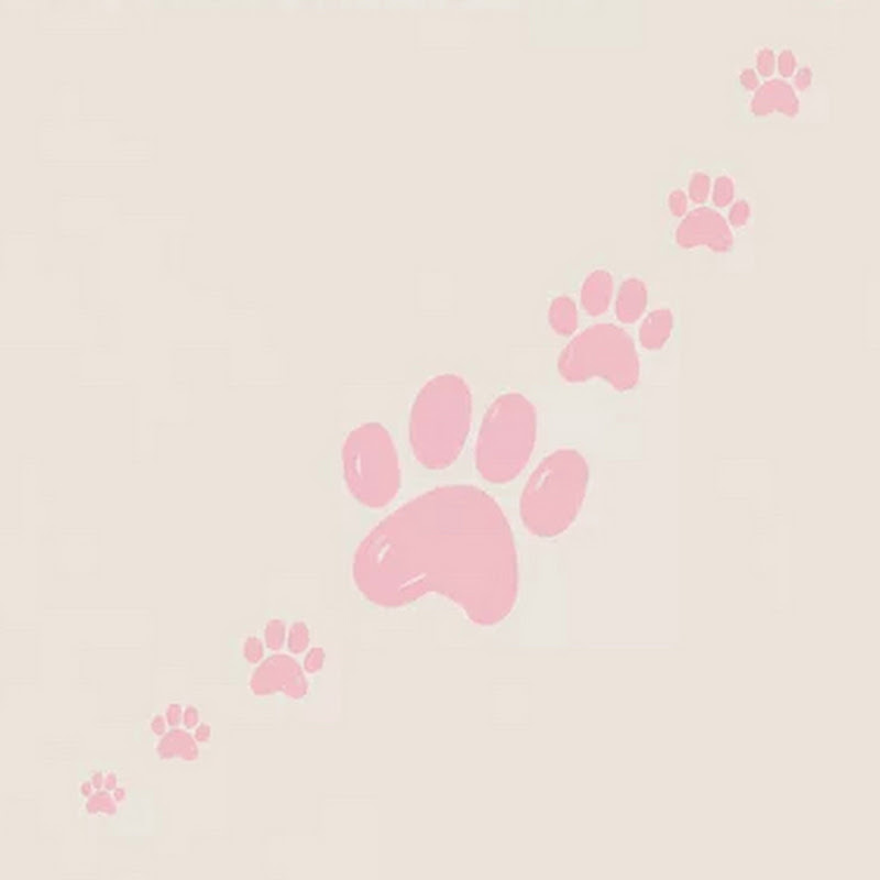 Gentle Paws Diaries