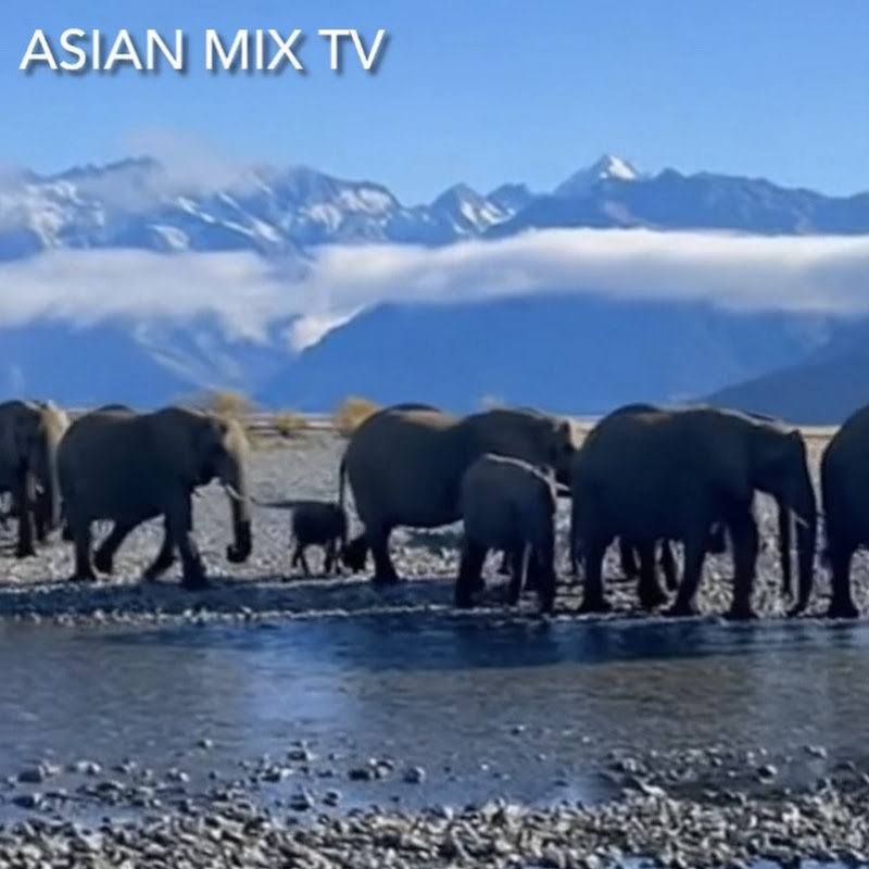 Asian Mix TV
