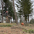 vGXwK_Xlt8M-channel-avatar-Sam’s tree work