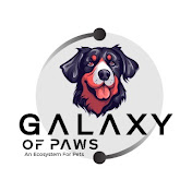 Galaxy Of Paws