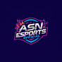 ASN ESPORTS OFFICIAL logo