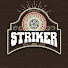 FKXHyMIDRsA-channel-avatar-STRIKER