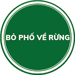 Bỏ Phố Về Rừng