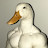 Avatar de @OliverHorrocks-t2e
