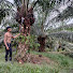 8jV1z6jOYvk-channel-avatar-ZAINAL STORY