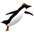 -zZxkSMLLKo-channel-avatar-The Technical Penguin