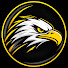 LRwaNFf9pwM-channel-avatar-ApexEagleGT