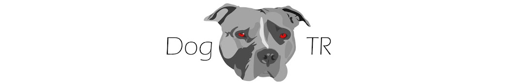 Dog TR YouTube channel avatar