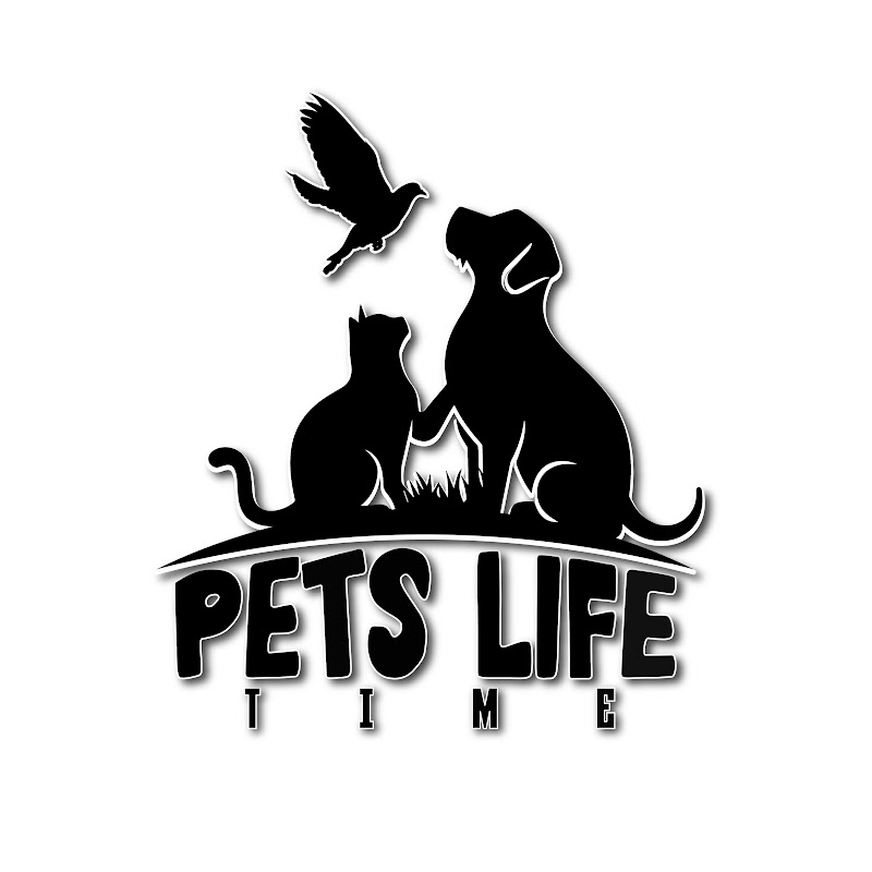 Pets Life Time