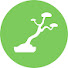 JP04ekhSMmU-channel-avatar-Bonsaiable