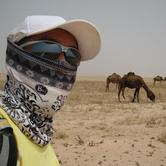 書房のそのへんトラベル 〜手帳と散歩と旅行