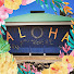 V29eJBTdx4c-channel-avatar-ALOHA DAYS / アロハな日常