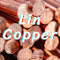 cyWHdePBDOM-channel-avatar-Lin Copper