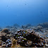 KsxpHbTR2HM-channel-avatar-PostCovid Traveler