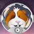 yFP3skFLvcA-channel-avatar-Space On Music