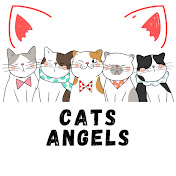 cats angels