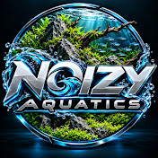 Noizy Aquatics