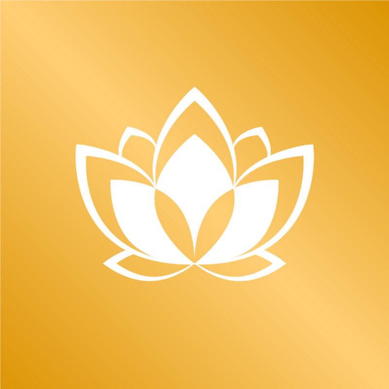 Golden Lotus Vlog