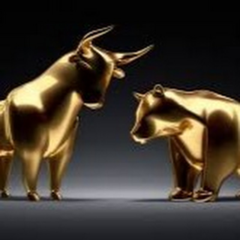 Trader K -  Trading For Beginners