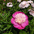 @user-wh3mp7lo5o