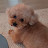 @사랑보름-x5t
