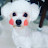@몽이-w2o