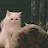 @krin_103