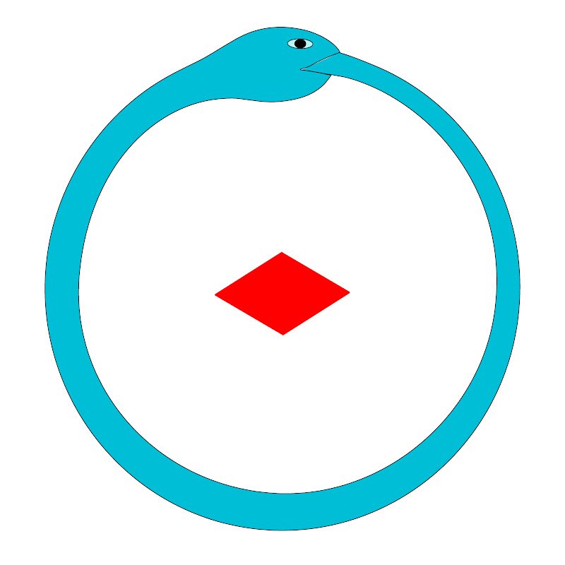 SELVAGEM ciclo de estudos sobre a vida