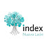 0iOB5V5FoeI-channel-avatar-Index Nuevo León