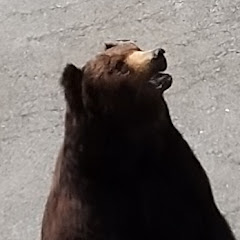 みやちゃん