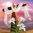 QYCbtCnKCR8-channel-avatar-New Creation Of God  and 2 more