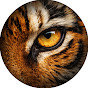 Planète Indomptable Avatar