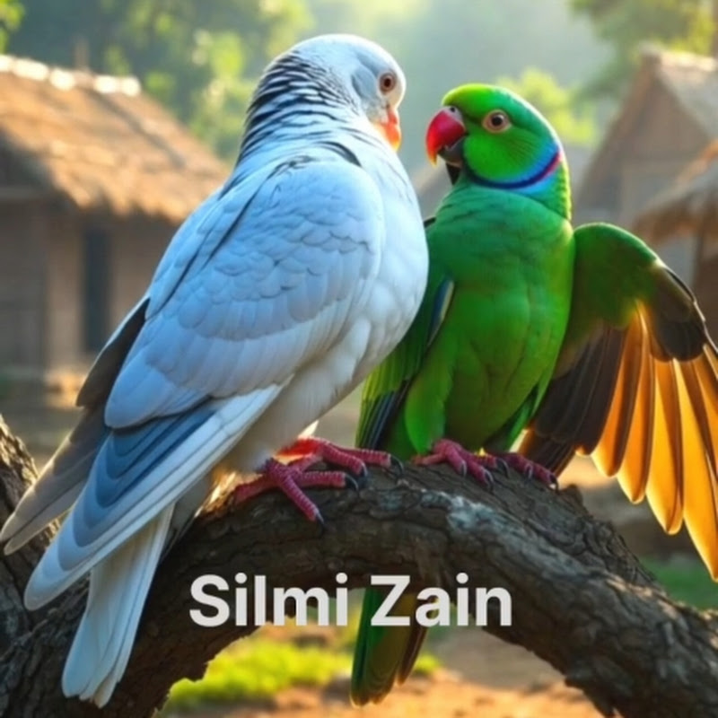 Silmi Zain
