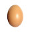 @egg.171