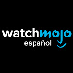 WatchMojo Español Net Worth