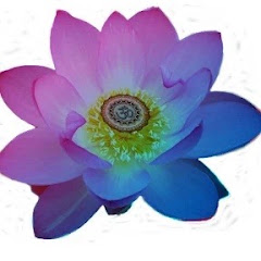 Lótus de Lakshmi