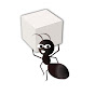 Me Code Ant logo