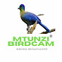 Mtunzi Birdcam logo