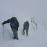 1YbIkkrlCso-channel-avatar-Fields & Forest Trail Running Events. 