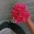 @AwatefAwad-c1y5j