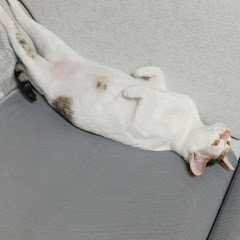 suv和mpv车型的床车魔盒改装アイコン画像