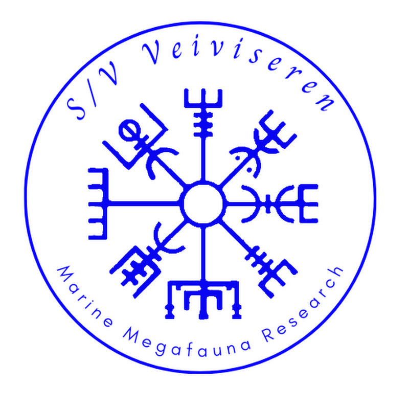 svveiviseren