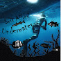 Luis_Alfred_Underwater logo