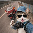 9FClqsnAhzE-channel-avatar-Fisher.LoveAnimals